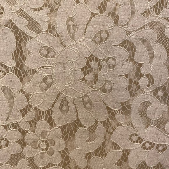 Joie Elvia Lace Top - Picture 9 of 12